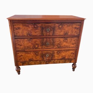 Antique Italian Carlo X Commode in Walnut and Chestnut