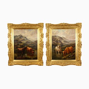 Large Scottish Highland Cattle, Oil Paintings, Framed, Set of 2