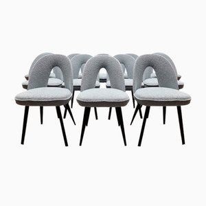 Chaises de Salle à Manger par Antonin Suman, 1960s, Set de 12