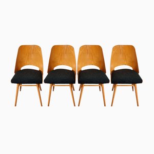 Esszimmerstühle von Radomir Hoffman für Ton, 1950er, 4er Set