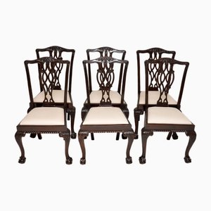 Chippendale Dining Chairs, 1890s, Set of 6