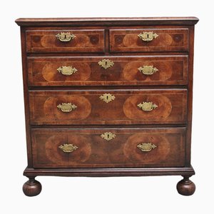 18th Century Oyster Wood Chest of Drawers, 1780s