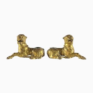 Stylophorous Lions in Gilt Bronze, Set of 2