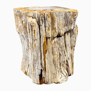 Side Table in Petrified Wood