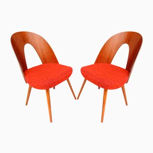 Set of Mid-Century Dining Chairs by Antonin Suman, 1960s