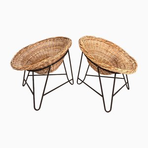 Set of Vintage Basket Chairs in Rattan, 1960s