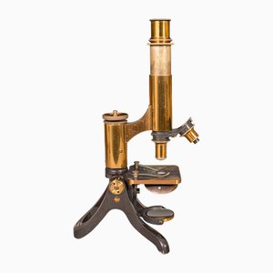 Antique English Scholars Microscope in Brass, 1890s