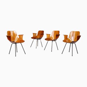 Medea Armchairs by Vittorio Nobili for Fratelli Tagliabue, Italy, 1955, Set of 4