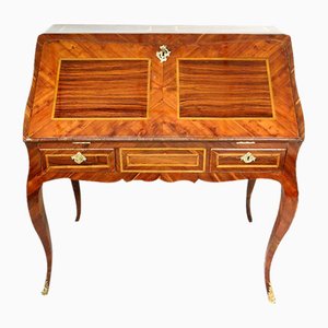 Louis XV Bronze Sloping Desk in Rosewood Marquetry and Bronze