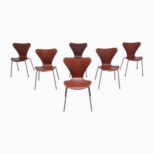 Chaises Early Teck Série 7 par Arne Jacobsen pour Fritz Hansen, 1950s, Set de 6