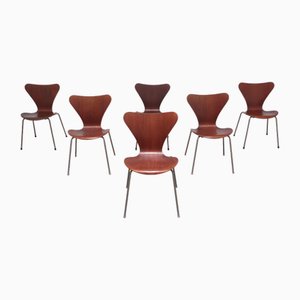 Early Teak Series 7 Stühle von Arne Jacobsen für Fritz Hansen, 1950er, 6er Set
