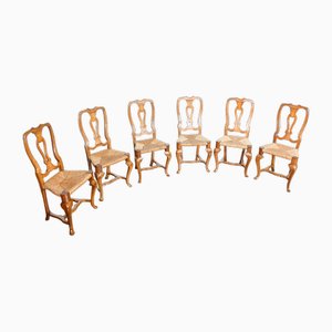 Toskanische Esszimmerstühle aus Nussholz, 1800er, 6er Set