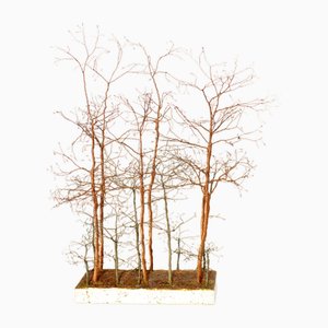 Italian Birch & Copper Trees Sculpture, 1970