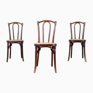 Cane Seated Dining Chairs attributed to Michael Thonet for Thonet, 1920s, Set of 3