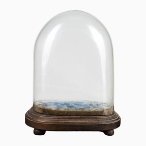 Hand-Blown Glass Display Dome, Late 1800s-Early 1900s