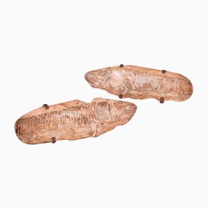 Fish Fossils, Set of 2