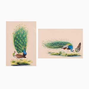 Peacocks, Goauche Paintings, Set of 2