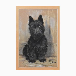 Marion Rodger Hamilt Harvey, Retrato de perros, Pastel sobre papel, siglo XX, Enmarcado