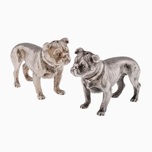 Edwardianisches Silbersalz in Hundeform, 20. Jh., London, 1908, 2er Set