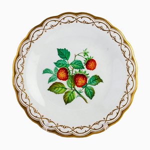 Mid 19th Century Polychrome Plate from Minton Porcelain