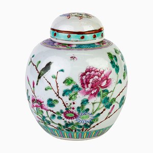 Pot à Gingembre en Porcelaine Famille Rose Blossoms & Bird, Chine