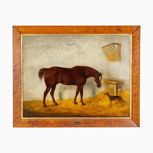 WD Williams, Cavallo nella stalla di Cheltenham, 1850, Dipinto ad olio, Incorniciato