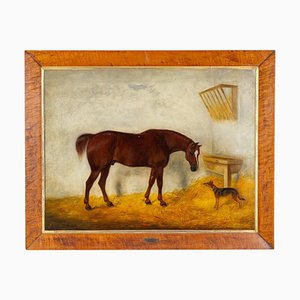 WD Williams, Horse in Cheltenham Stable, 1850, Ölgemälde, gerahmt