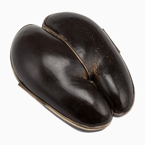 Scatola Coco De Mer, Regno Unito, XX secolo, inizio XX secolo