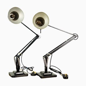 Lampes de Bureau Anglepoise Mid-Century Modèle 1227 Noires de Herbert Terry, Set de 2