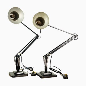 Mid-Century Model 1227 Black Anglepoise Table Lamps from Herbert Terry, Set of 2