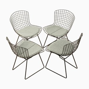 Sedie nr. 420 di Harry Bertoia per Knoll, anni '40, set di 4