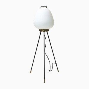 Floor Lamp from Stilnovo, 1950s