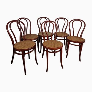 Number 18 Chairs by Michael Thonet, Set of 6