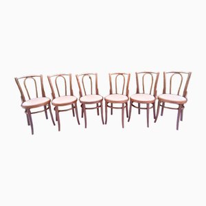 Chairs in Beech Bentwood from Tatra, 1960s, Set of 6