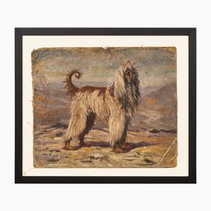 Frederick Thomas Daws, Afghanischer Windhund, Öl auf Leinwand, 1930, Gerahmt