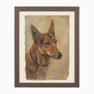 Frederick Thomas Daws, Antique German Shepherd, Oil on Canvas, 1926, Framed