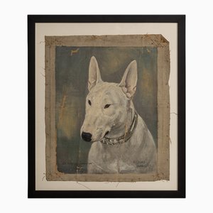 Frederick Thomas Daws, Bull Terrier inglese antico, Olio su tela, 1920, Incorniciato