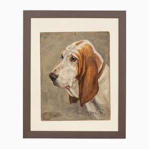 Frederick Thomas Daws, Basset Hound, Oil on Canvas, 1930, Framed