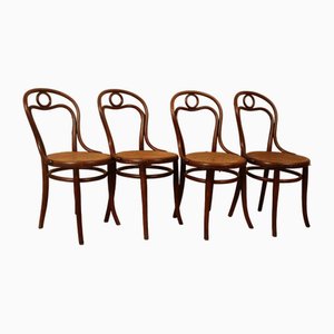 No. 31 Bistro Chairs by Michael Thonet for Thonet, 1889, Set of 4
