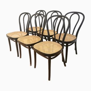 Vintage Wooden Dining Chairs in Black, 1970s, Set of 6