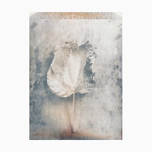Colette Dörrwand, Bodegón con hojas y cobre, 2018, Impresión