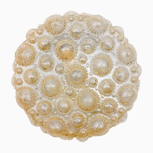Mid-Century Modern Round Amber 3D Fossil Shell-Shaped Flush Mount, 1960s
