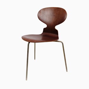 Chair Model 3100 Myren in Teak by Arne Jacobsen for Fritz Hansen, 1950s