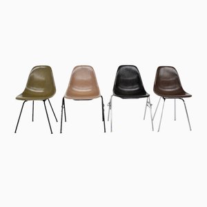DSX Chairs in Fiberglass by Charles & Ray Eames for Herman Miller, 1960, Set of 4