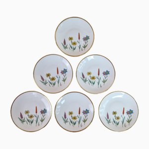 Vintage Porcelain Coasters from Winterling, 1960s, Set of 6
