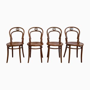 Chairs No. 14 by Ton for Svejk Restaurant, 1990s, Set of 4