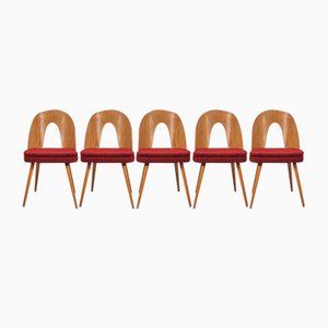 Vintage Chairs by Antonin Suman from Tatra, 1960s, Set of 5