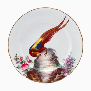 Assiette d'Armoire Oiseau Exotique en Porcelaine Fine Peinte à la Main de Minton, 19ème Siècle