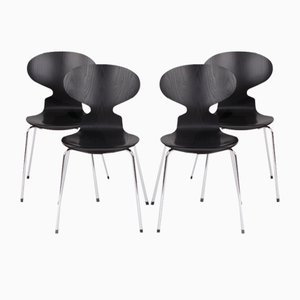 Modell 3101 Stühle von Arne Jacobsen für Fritz Hansen, Dänemark, 2004, 4er Set