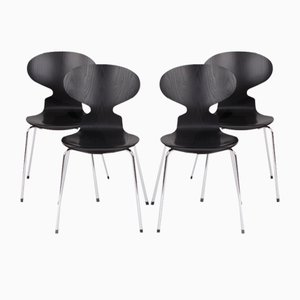 Sedie modello 3101 di Arne Jacobsen per Fritz Hansen, Danimarca, 2004, set di 4